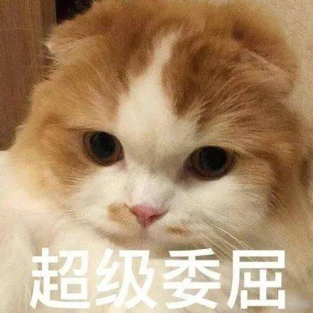  表情包明天上班昨天不是才上了吗