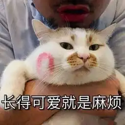  你养猫猫巴不得自己工作赚钱
