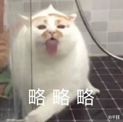 一只白猫旁边一个问号的