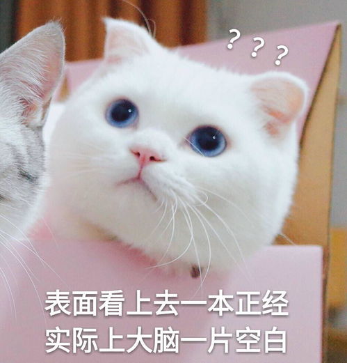  迄今为止,你当过最亮的电灯泡是哪一次