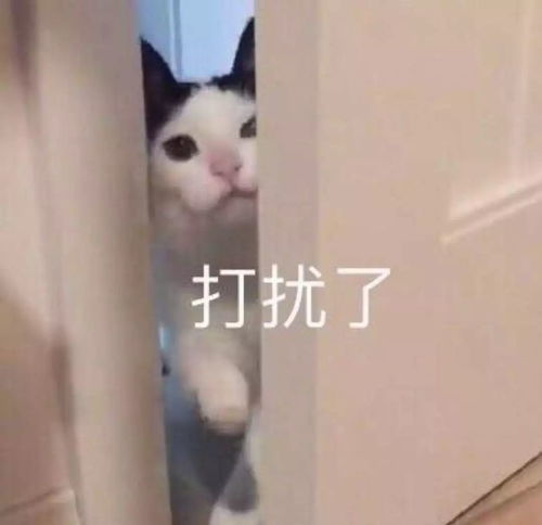  你为什么还不辞职听完这些90后职场人的回答我沉默了