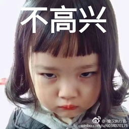  女权律二表情包gif