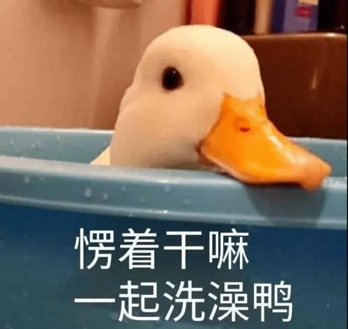  今日表情包丨最近天气到底有多冷