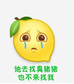  柠檬表情是什么梗什么意思柠檬精表情包在哪下载