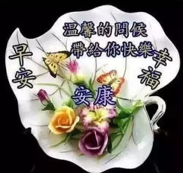  早晨问安调整心态看生活,处处都是阳光,早晨好