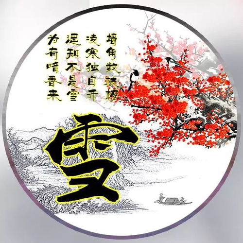 微信头像姓氏头像,超好看的梅花图个性设计,做头像太好看了