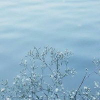  带满天星情侣头像微信头像图片大全