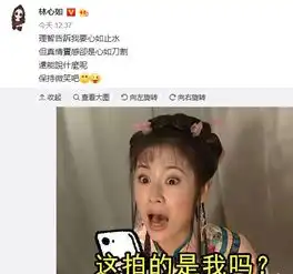  林心如用自己的表情包回应丑图,网友不愧是高情商