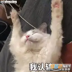  讲理我嘴笨我喜欢打人表情包今天元气不满满猫咪表情包下载乐游网游戏下载