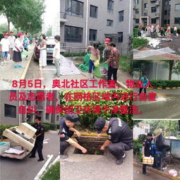  专题报道东升镇城市管理工作日报