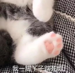  表情sir我一脚丫子踹死你