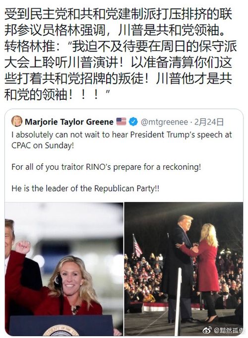  女议员史诗级别的口罩