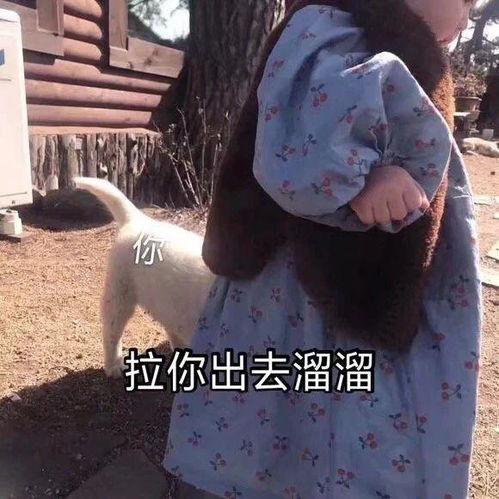  搞笑gif你遇到这种情况会怎样做