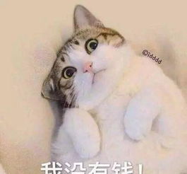 口袋空了没钱了表情包头