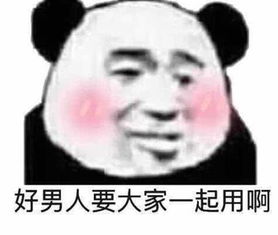  机智哈士奇太阳花表情包来,让我代表太阳温暖你