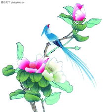  花鸟国画0057花鸟国画图中华文化图库