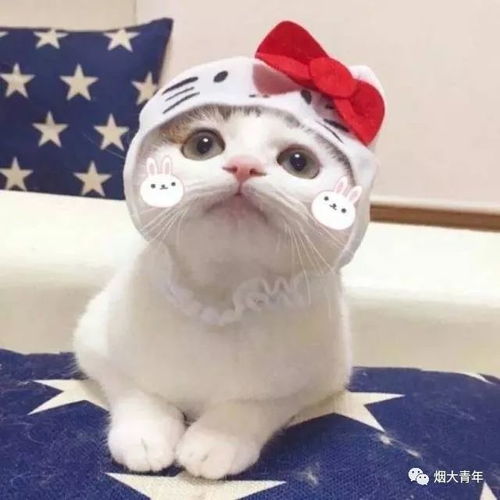  求助帖老爸年轻时太帅,肿么办