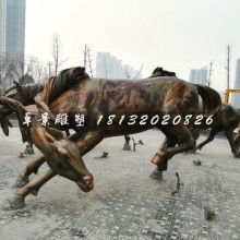  骏马名表专卖店