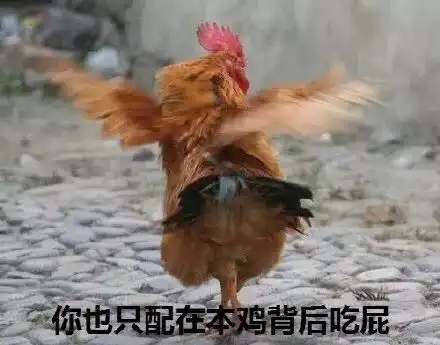  沙雕表情包四倍鸡笼警告