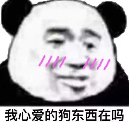  猪年拜年搞笑表情包