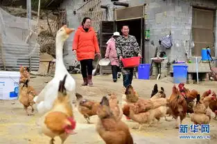  读报告话民生坚决打赢脱贫攻坚战高清组图
