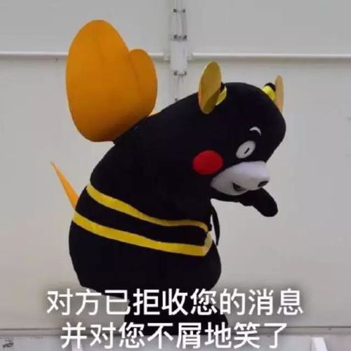  猎人别跑我已经不怕你了