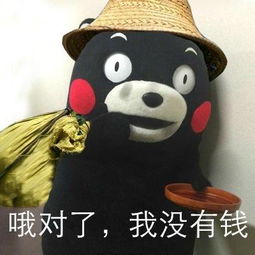  黄圣依出门头套塑料袋网友价值近万