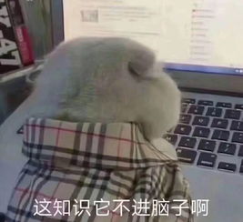  考试周丨期末考试,你准备好了吗