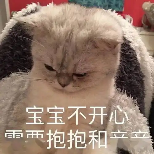  让我们一起对周五说声谢谢你每日搞笑段子