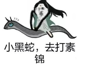  如果这部剧上了演员的诞生,章子怡宋丹丹的表情应该是