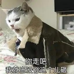  爸爸回来了gif表情包