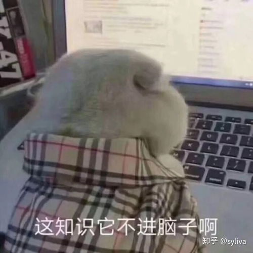  疫情期上网课给你带了那些感悟