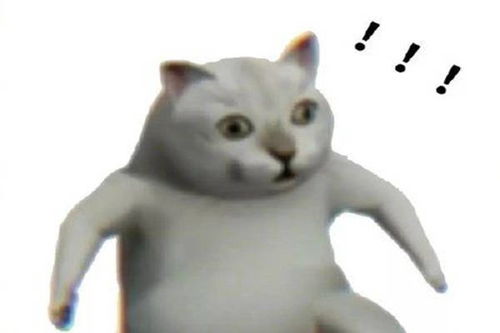 奇怪的知识猫表情包洗澡