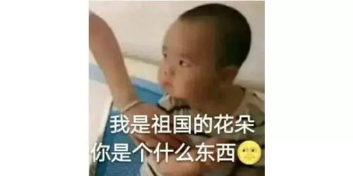  如果用一个表情包来形容期末考