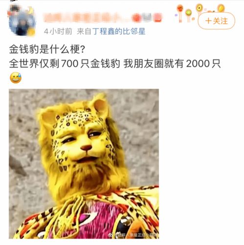 2022第一梗金钱豹富,豹头像火了