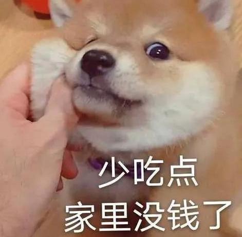  养不养狗,区别还真大你中了哪几条