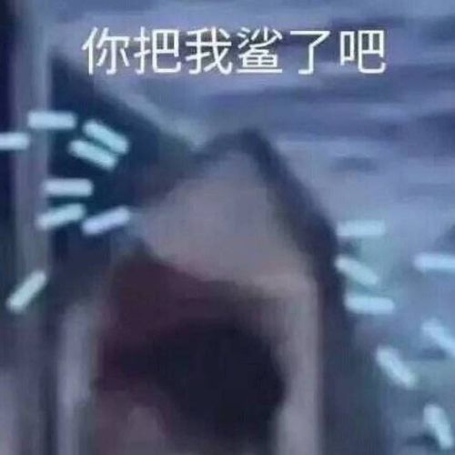  休假收藏夹