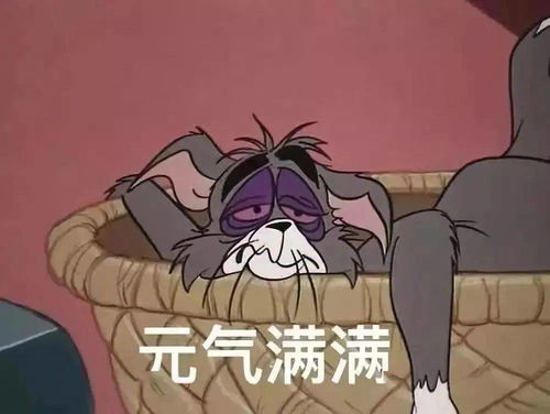  从假期干饭人到拼命打工人,你还习惯吗