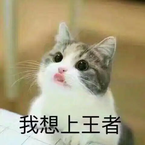  求这个猫表情包的原图