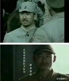  要撸过多少抗战剧才能发现他们叛变了