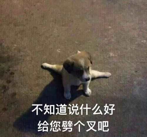  轻松一刻看仔细,现在外国流行这样炫富