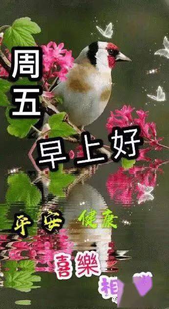  最新版非常漂亮的周五早上好表情图片温馨早安心语语录