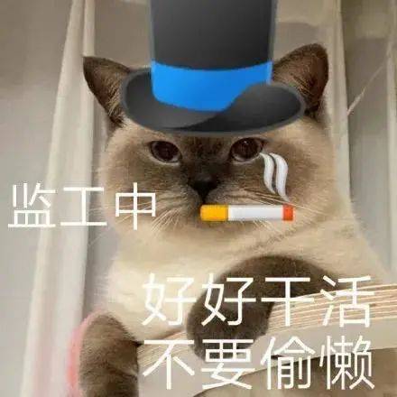  聊天必备表情包215可爱搞怪沙雕表情包