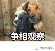  霍汶希居然让陈伟霆为三无微商站台专职坑艺人二十年,金牌美女经纪人你的良心会不会痛