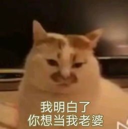  撩妹表情包你这个偷我心的贼