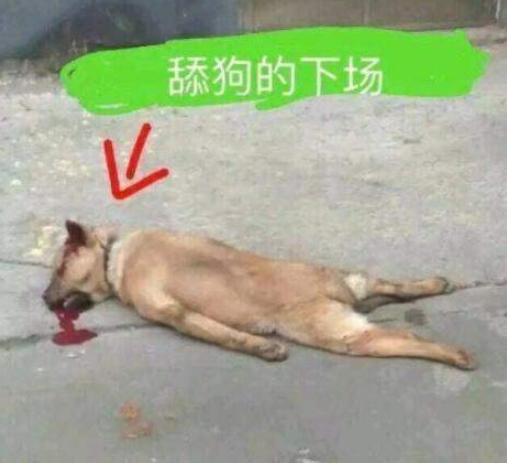  美国权威大学重磅发现男生更喜欢颜值高的女生