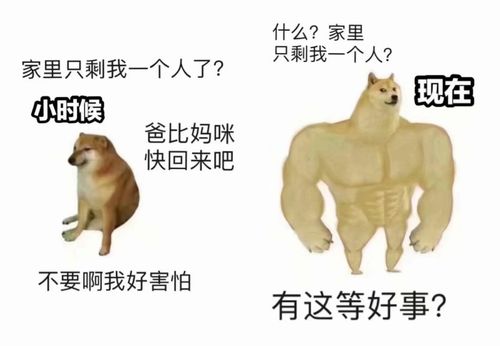  我说我比较喜欢李白的诗,陆游气坏了,我家就不能上网了