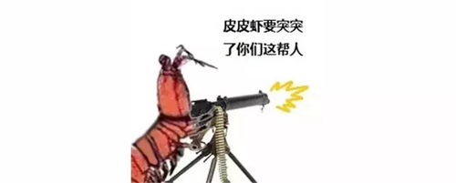  2017年最火表情包,承包了这一年所有笑点