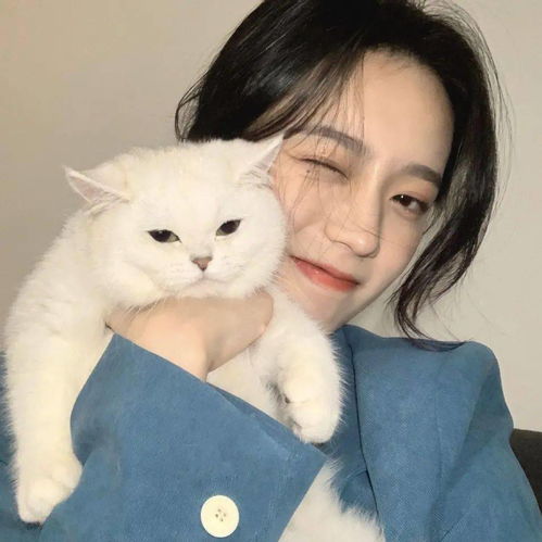  头像背景套图超赞