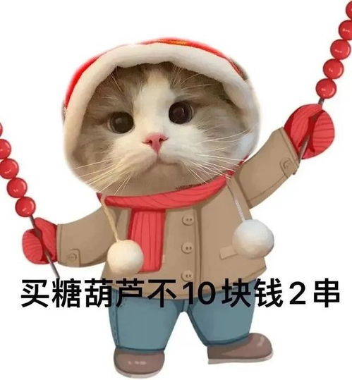  表情包,恋爱的五味我就先替各位尝了